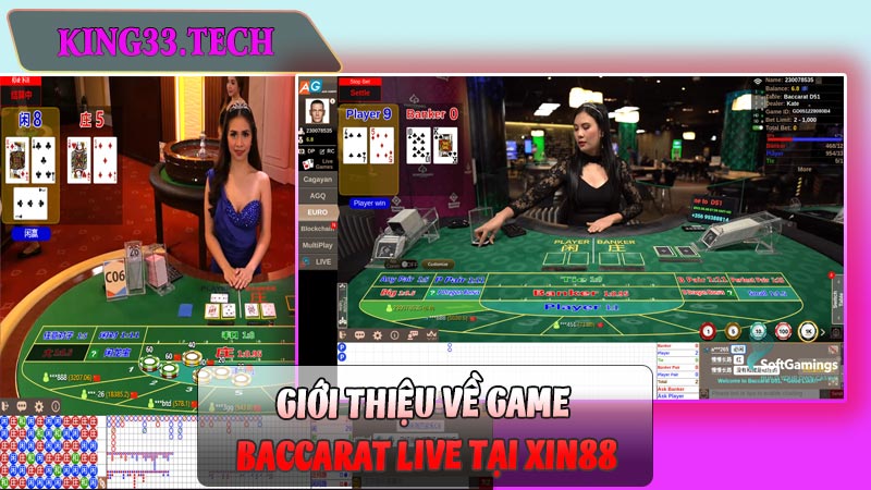 Giới thiệu về game Baccarat Live tại Xin88